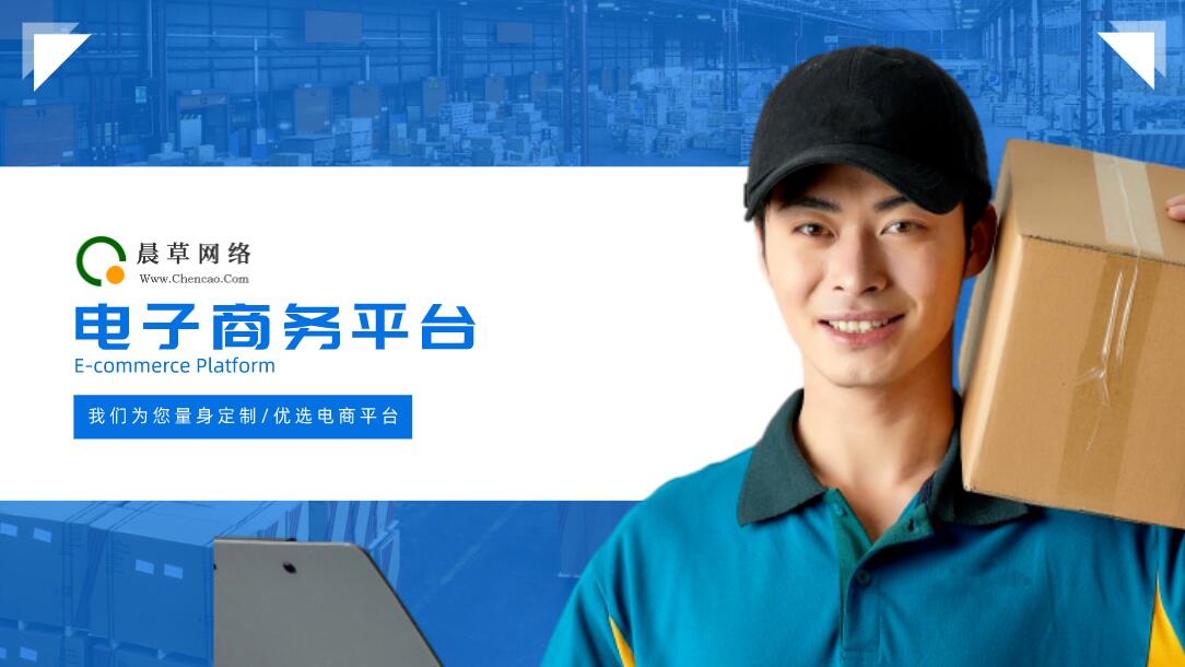 电子商务平台选用方案