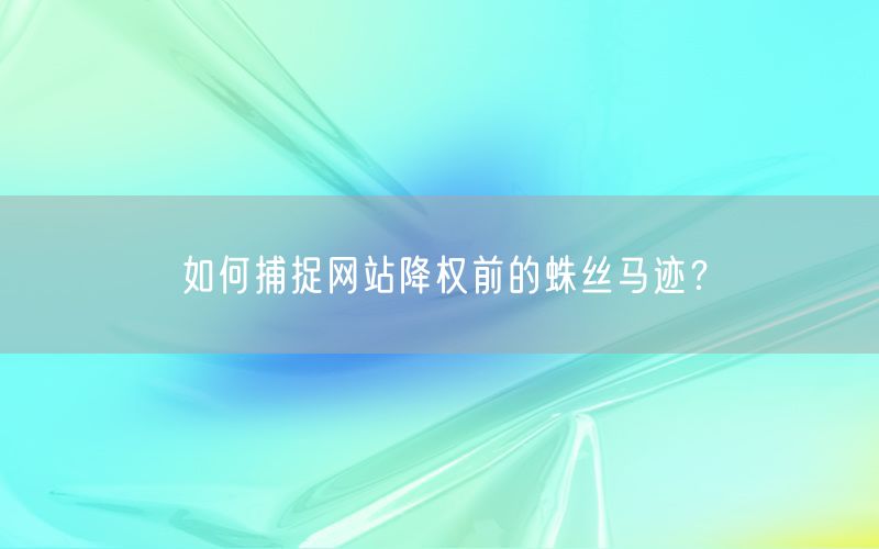 如何捕捉网站降权前的蛛丝马迹？